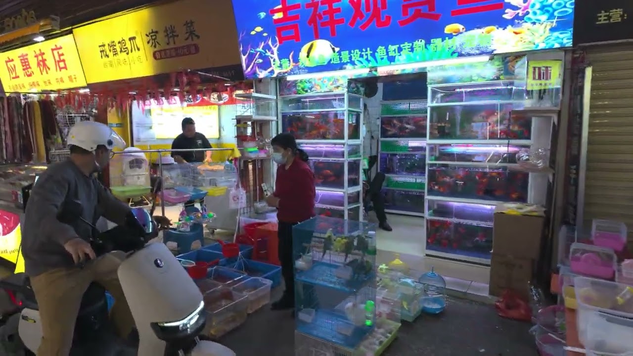China 🍜 Guangzhou’s Poorest District? Discover Conghua’s Local Life & Street Food!