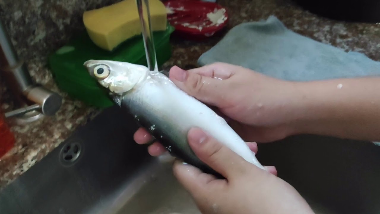 How to clean a fish (#21, Manalang Rafaela Sigrid Yvonne L.)
