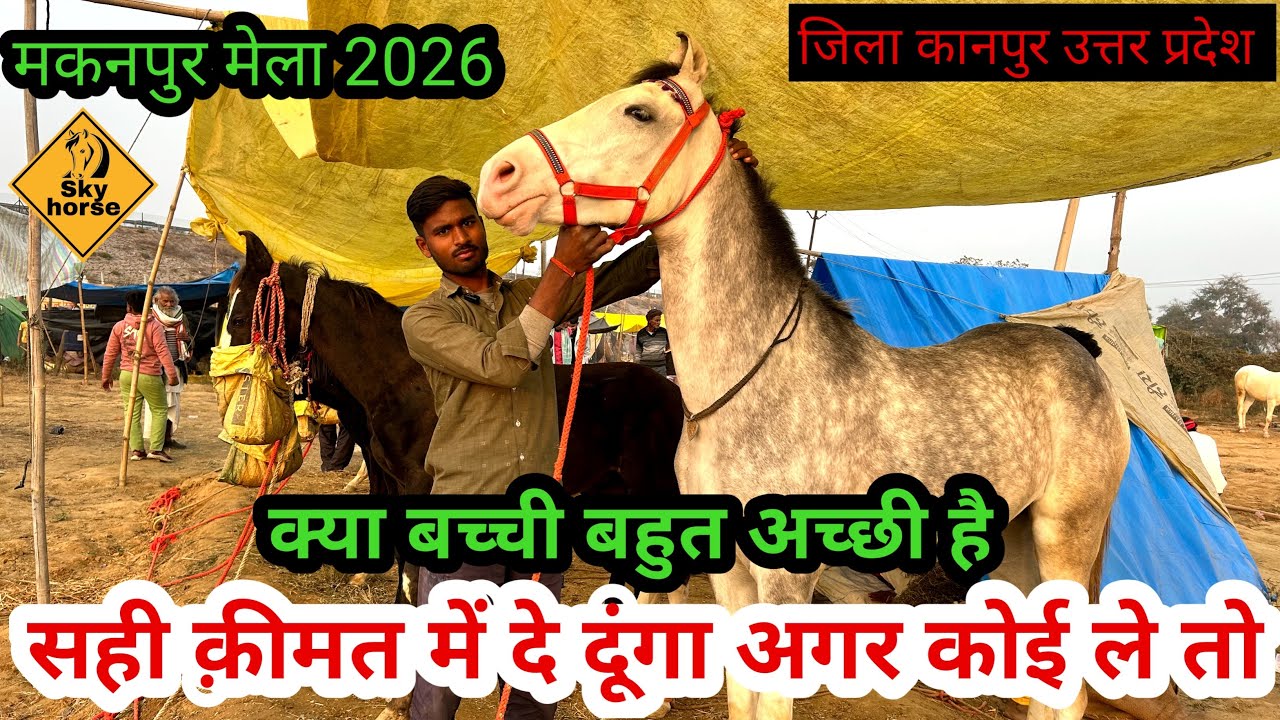 व्यापारी ने कहा बच्ची तो बहुत है पर मेले में इस तरह कोई नहीं | #Makanpurghodamela