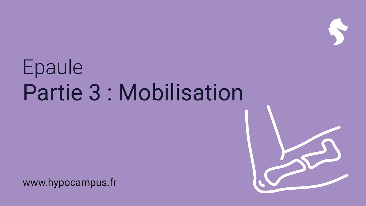 Epaule - Partie 3 : Mobilisation