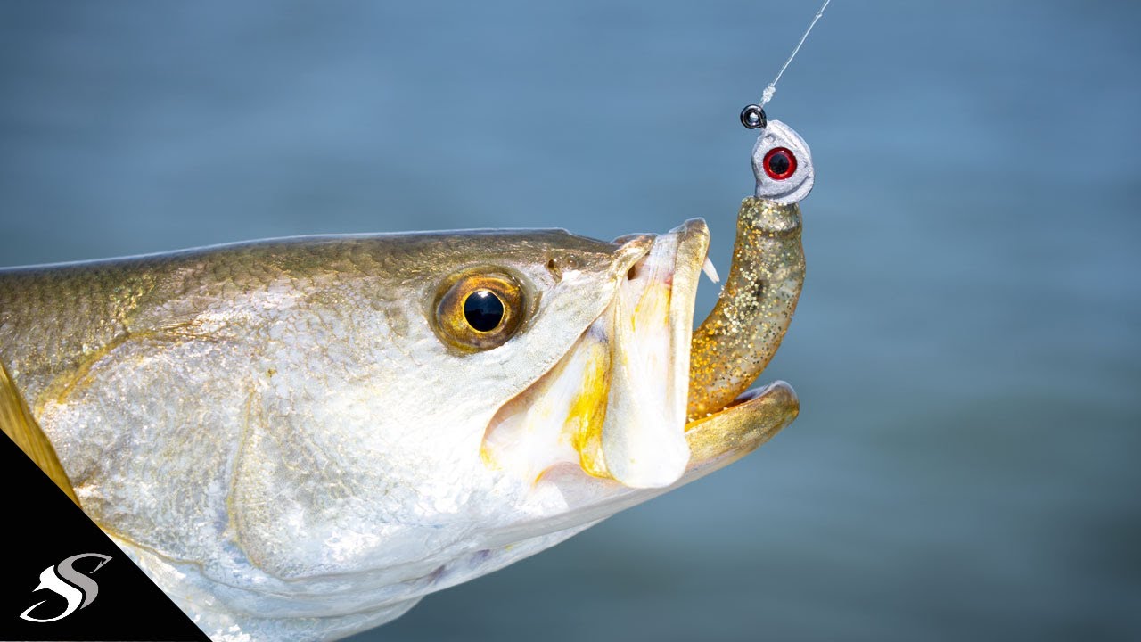 CRAZY Speckled Trout Fishing - YouTuber Fishing Tournament