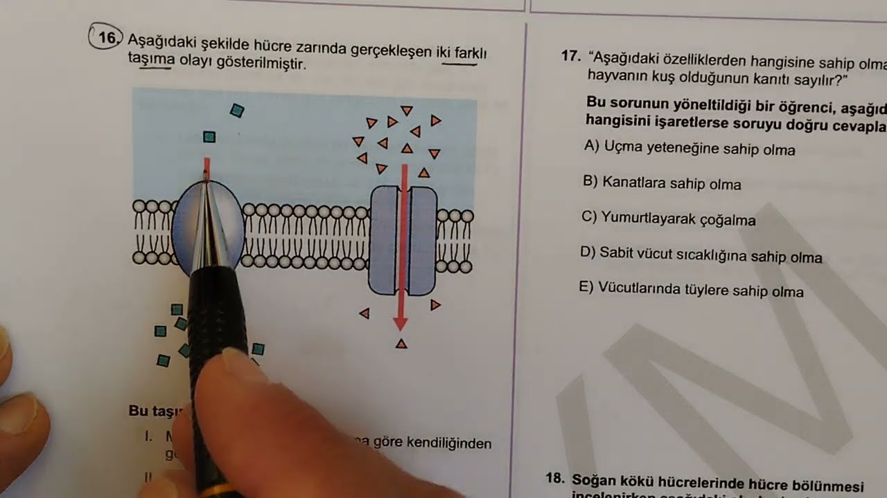 TYT BİYOLOJİ 2018, ÇÖZÜMLERİ