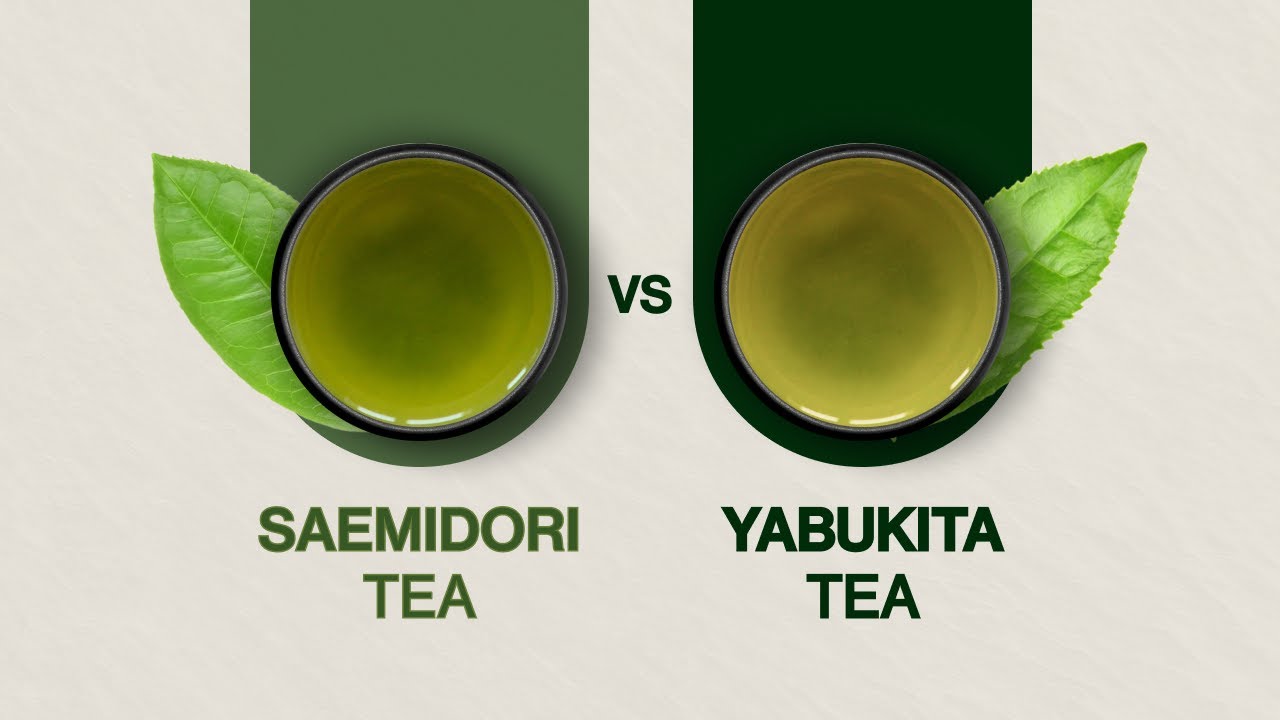 Saemidori Green Tea vs Yabukita Green Tea