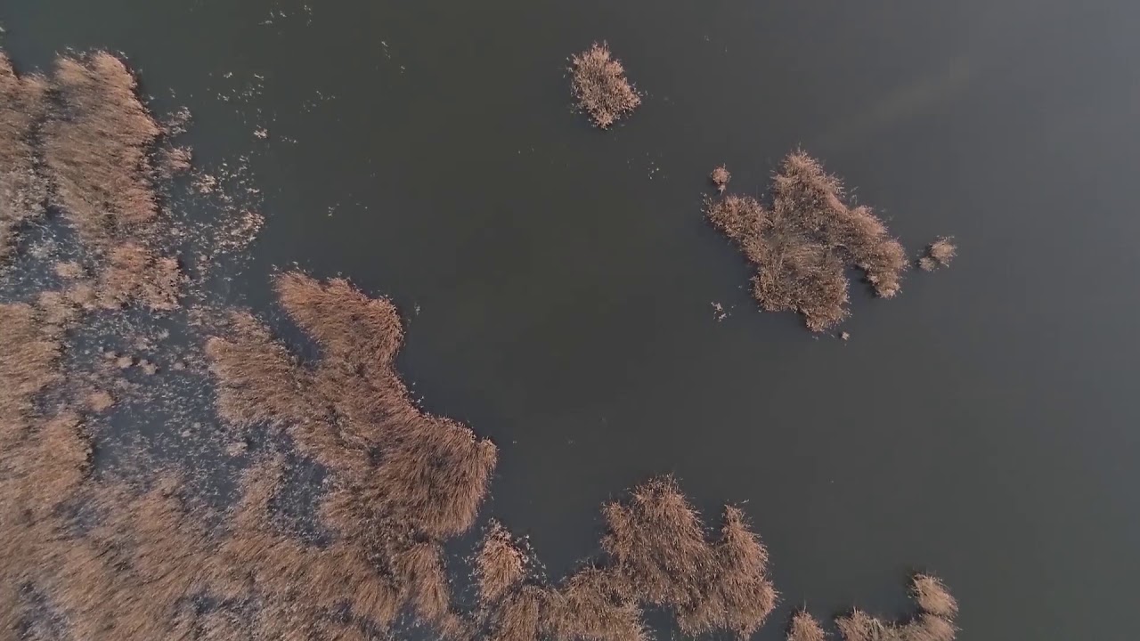 Havasi | Szülőföldem | My Homeland 2019