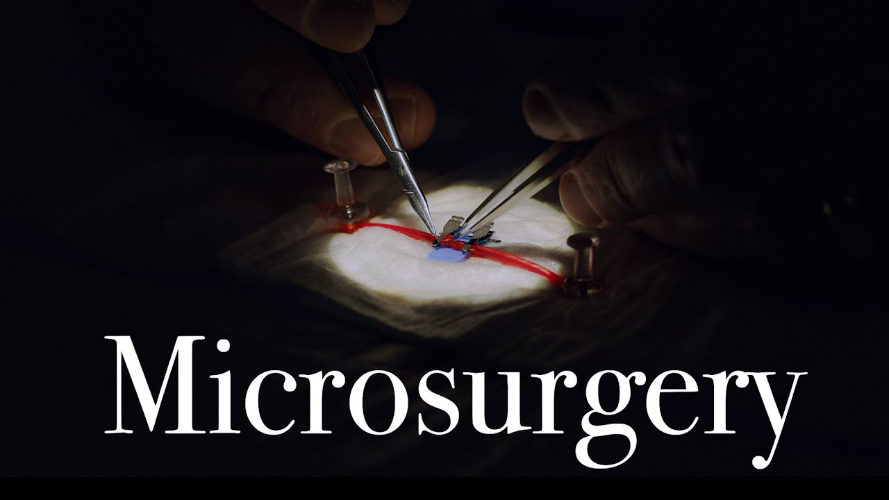 Learning Suturing with Plastic Reconstructive Surgeon Dr. John Felder | End-to-End Anastomosis