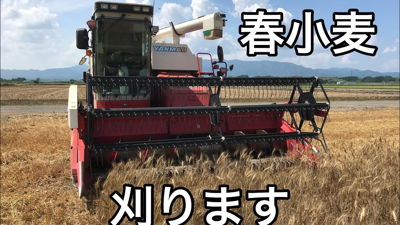 色々なアングルで麦刈り！