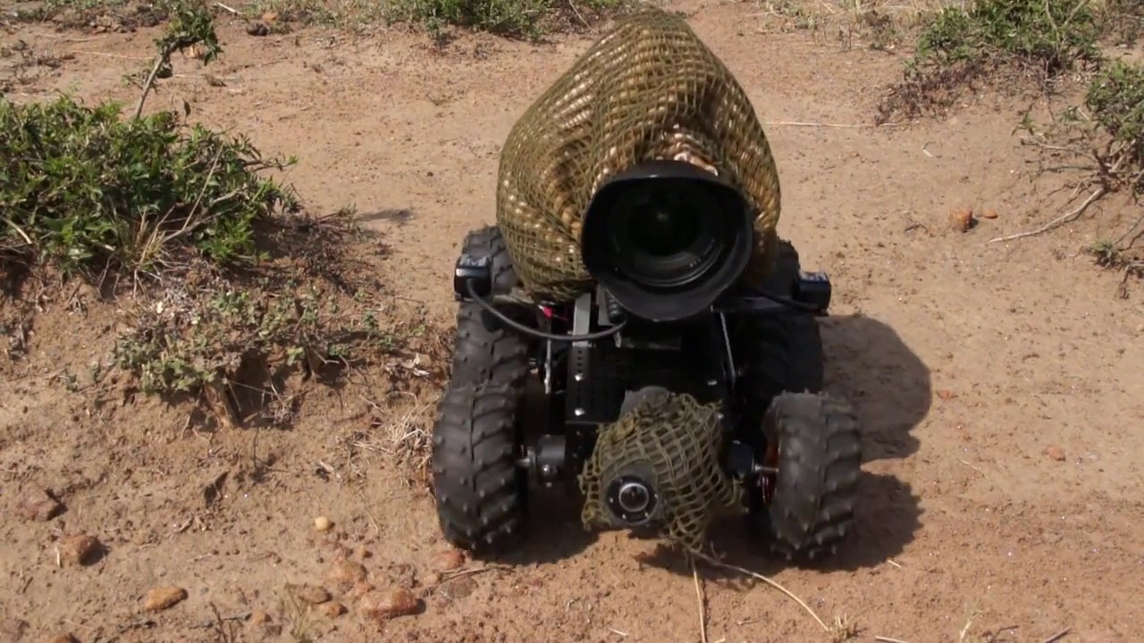 6wd chassis in african grassland