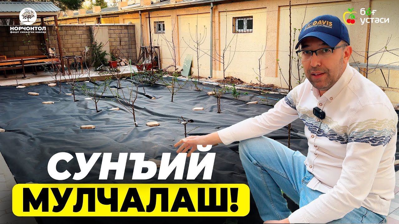 СУНЪИЙ МУЛЧА НИМА УЧУН КЕРАК? | ШУҲРАТ АБРОРОВ #shuhratabrorov #mulchalash #agrovolokno