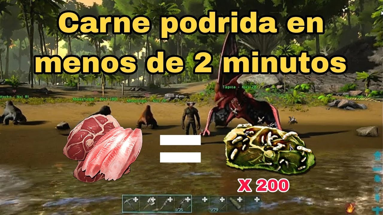 Como tener mucha carne podrida fácil y rápido en ARK Survivla Evolved 100% efectivo_NS/PS/XBOX/PC...
