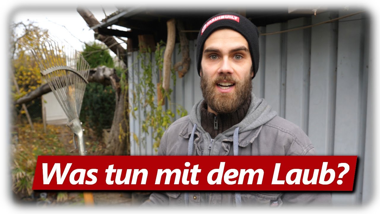 Herbstlaub 🍂 | Tipps, Ideen und Probleme zum Laub sammeln im Garten