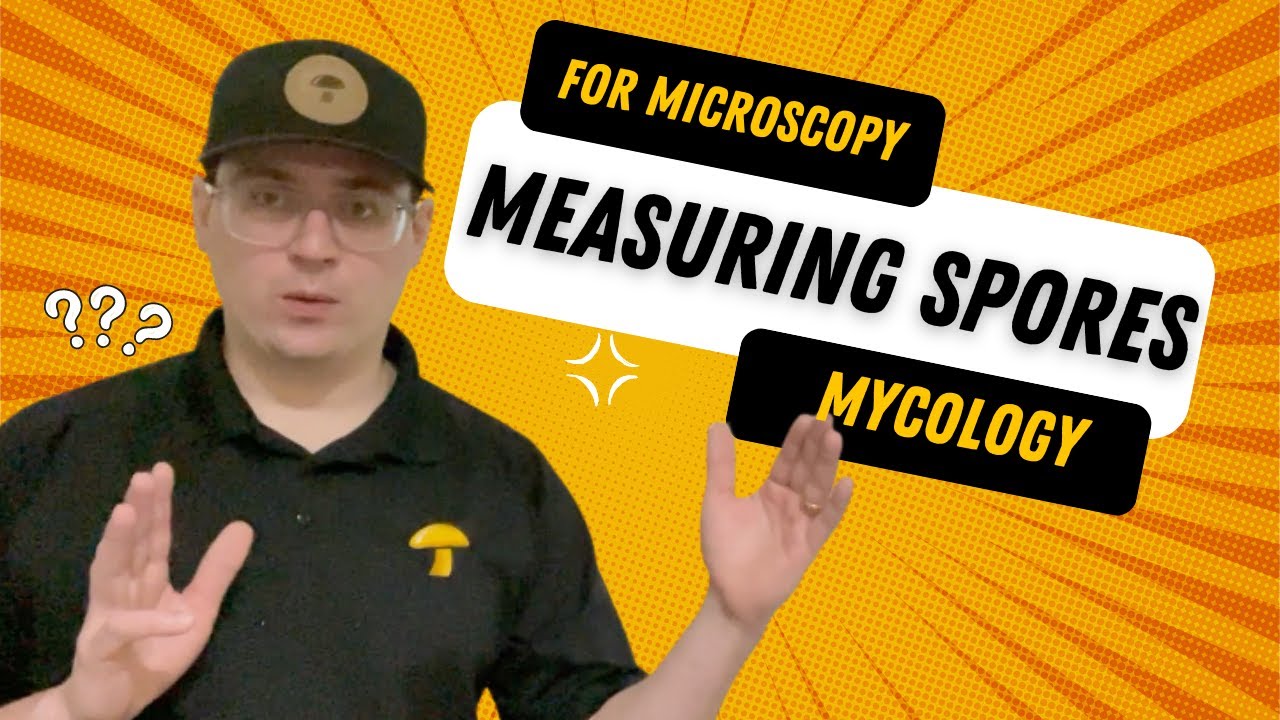 Measuring Mushroom Spores with a Microscope