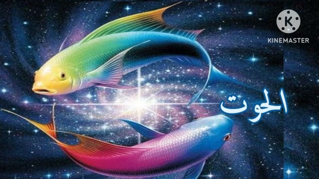 برج الحوت.. ‼️ من فرصه🥹 للفرص كلها🎉 🎉 🎉