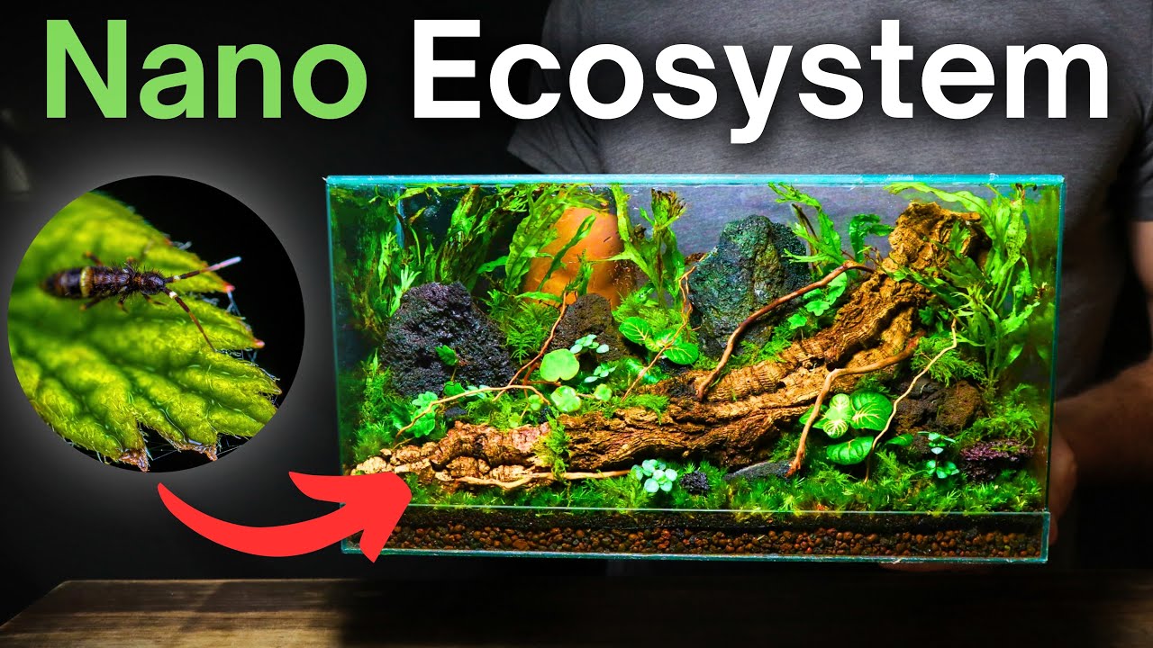 I Made a Forest Floor Terrarium, Here&rsquo;s How!