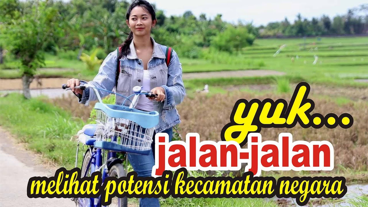 PROFIL KECAMATAN NEGARA 2023