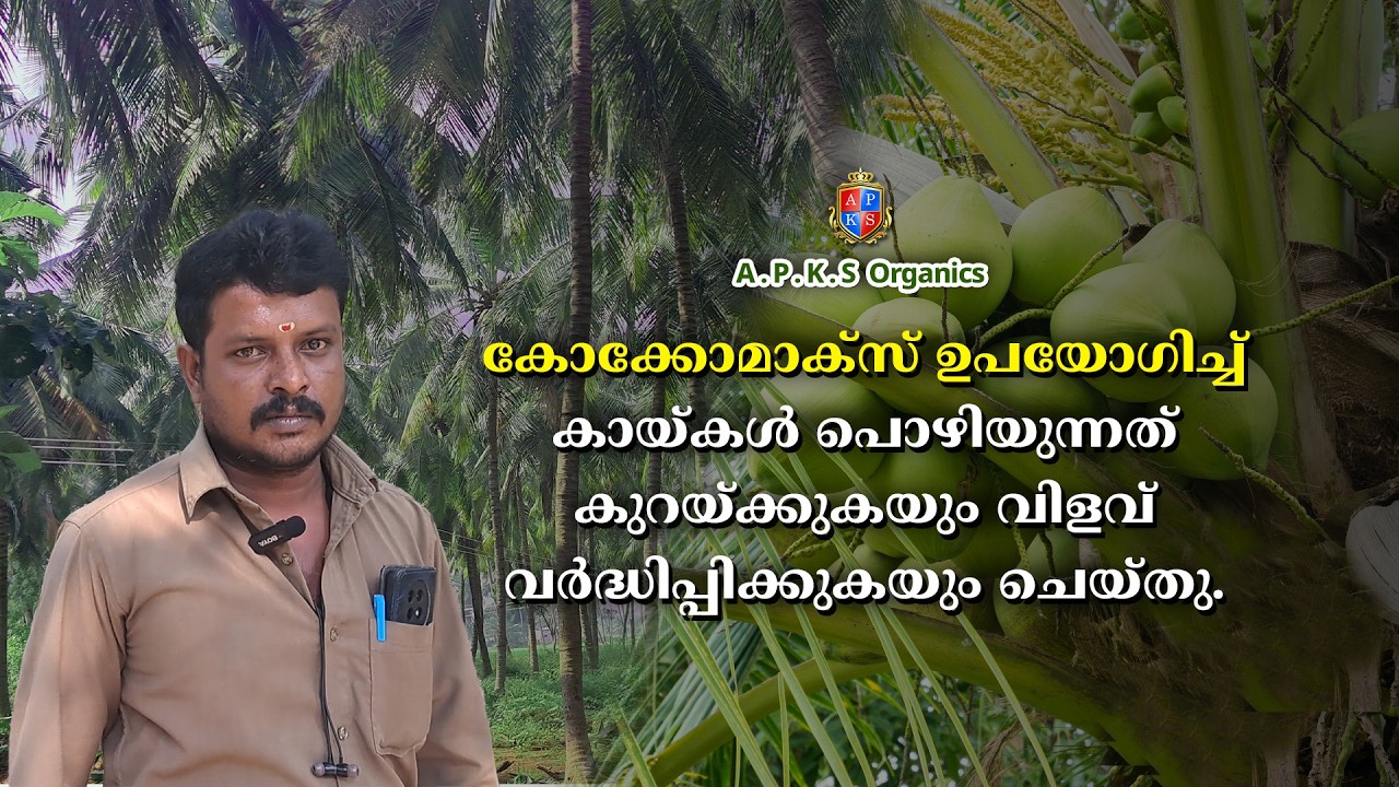 Online Farmer Mr.Ragunathan Reviews Cocomax Fertilizer for Coconut Crop🌴💚