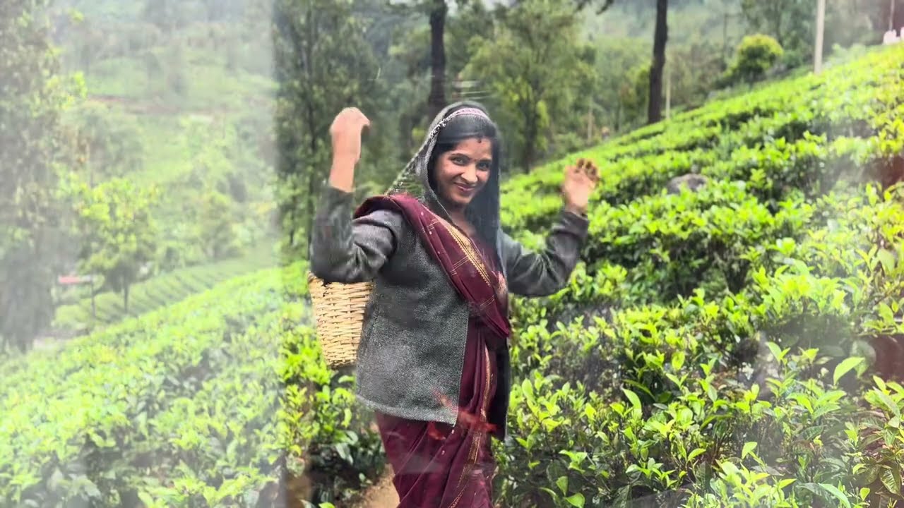 جزيرة سريلانكا 🇱🇰 بعدسة رحال قطري Sri lanka