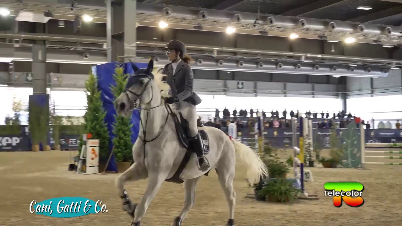 Cani, gatti e compagnia: il ritorno di FieraCavalli Verona in un vortice di emozioni 22.11.2021