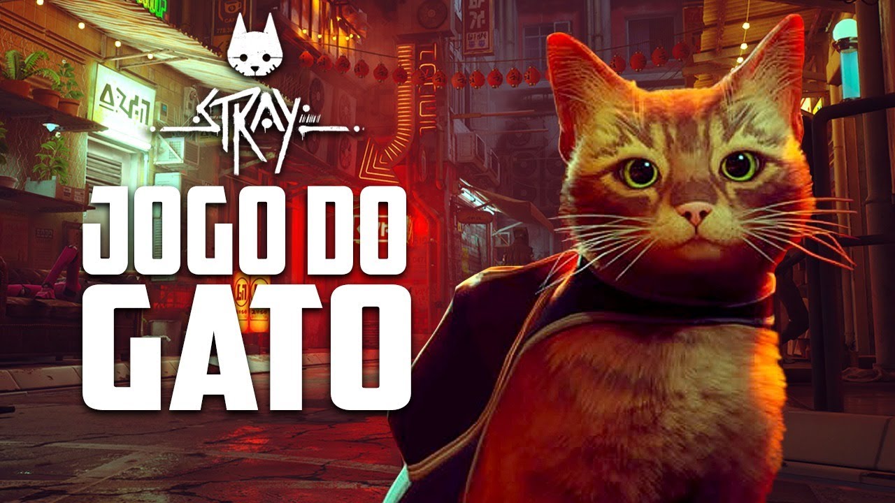 STRAY - O jogo do gato gameplay do Davy Jones