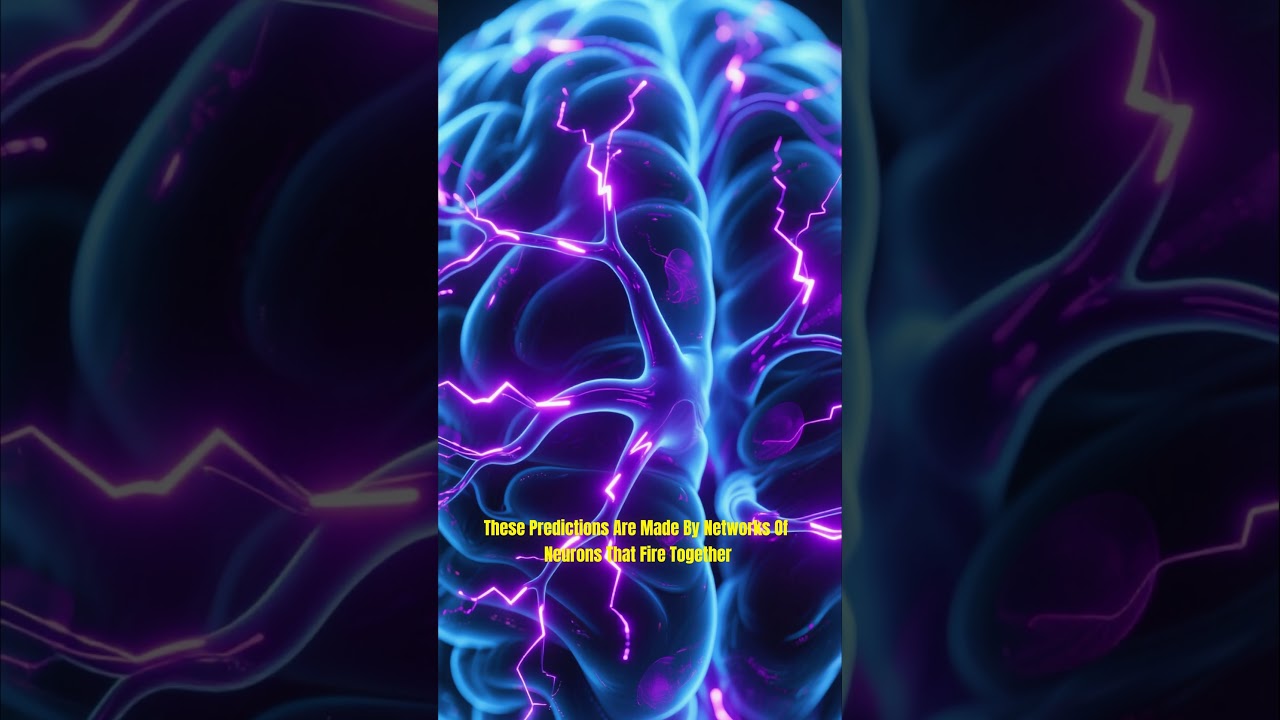 Your Brain Can Predict the Future  Here's Proof!