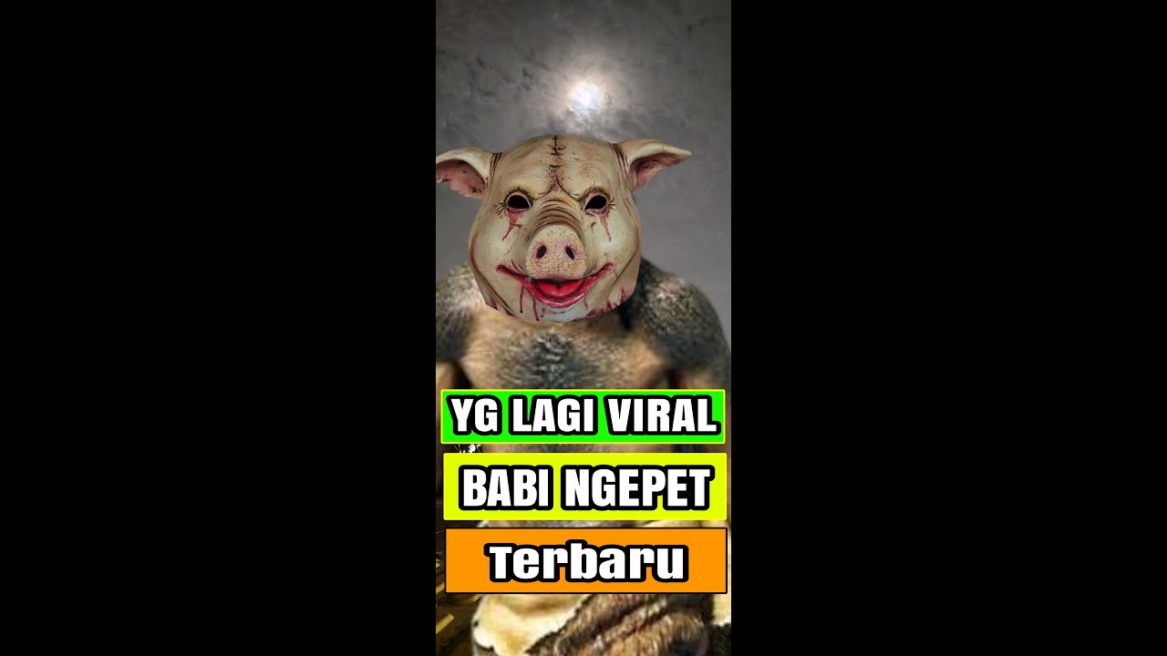 BABI NGEPET #shorts #babingepet #viral