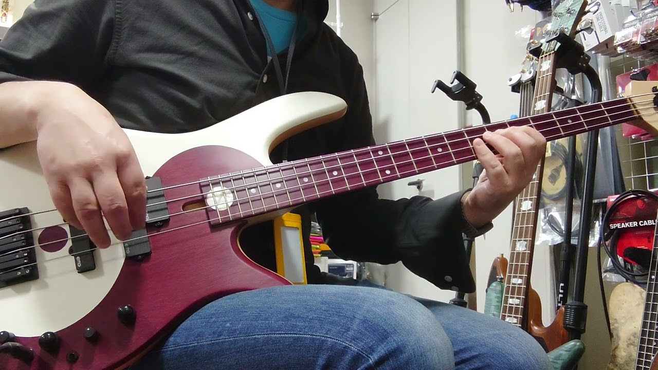 Fodera Yin Yang Standard Purple Heart【Used】