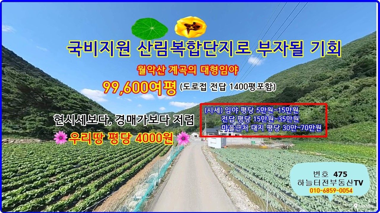 물건번호: 475  월악산 계곡따라 접한 대평 임야 99600평 (도로접한 전답1409평포함) 산림복합단지로 청정 약용식물 임야로 국비지원60% 보조금 가능지역)평당 4000원