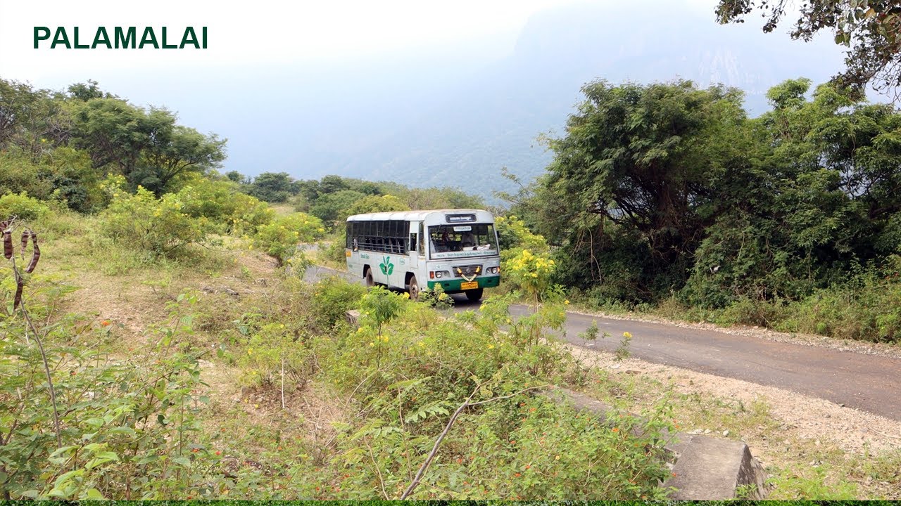 CABIN RIDE | TNSTC Paalamalai Bus | Coimbatore| Nilgiris TN43 Rider|