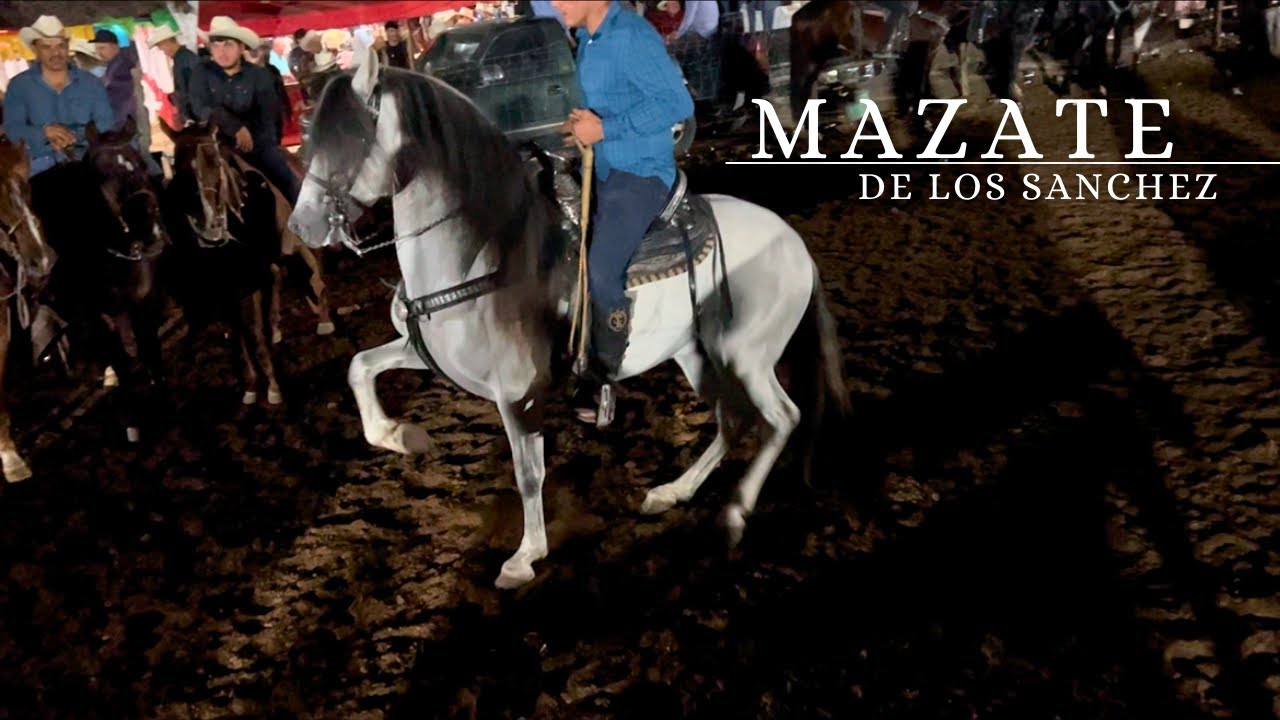 COLEADAS DE LOS MAZATE DE LOS SANCHES(DIA 1uno)2026😳🐴🔥/LOS ARRIEROS/