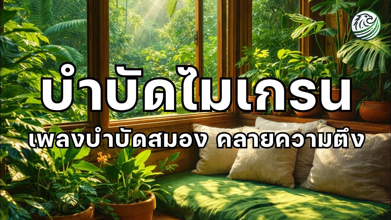 เพลงบำบัดไมเกรน คลายความตึงของศีรษะ ให้สมองได้พัก เพลงผ่อนคลาย เพลงบำบัดความเครียด 