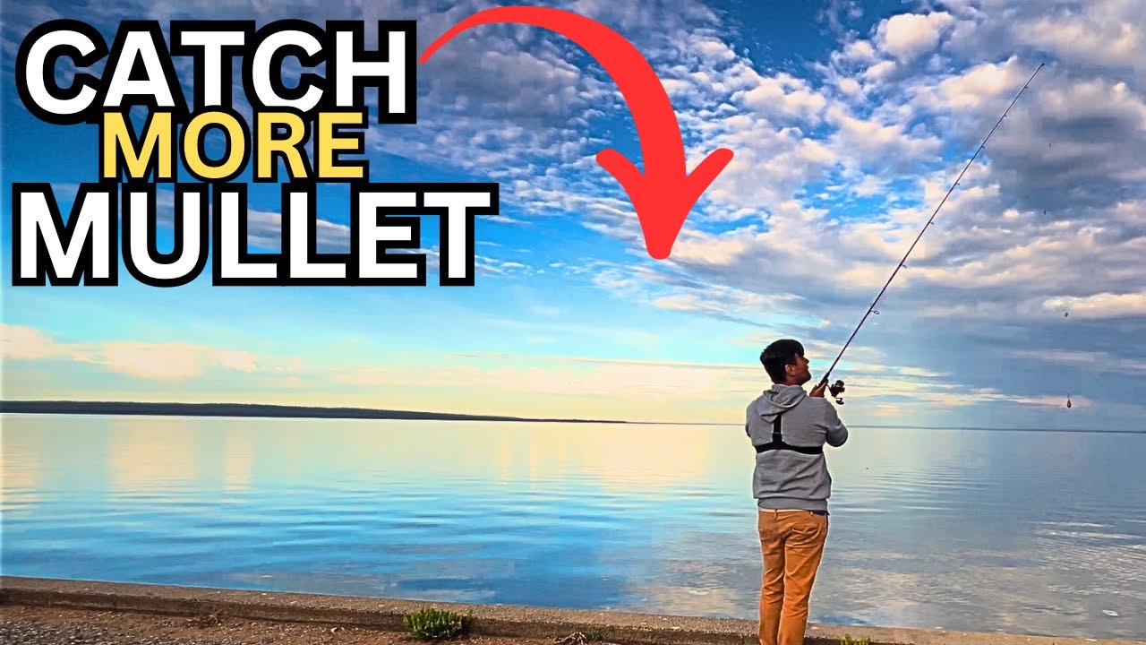 Mullet fishing madness
