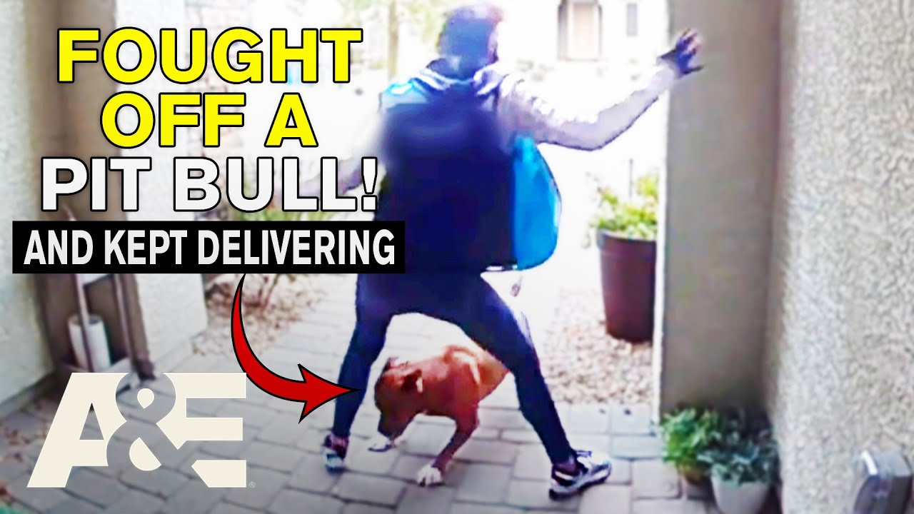 Top 7 Daring Rescues by Everyday Heroes | Neighborhood Wars | A&E