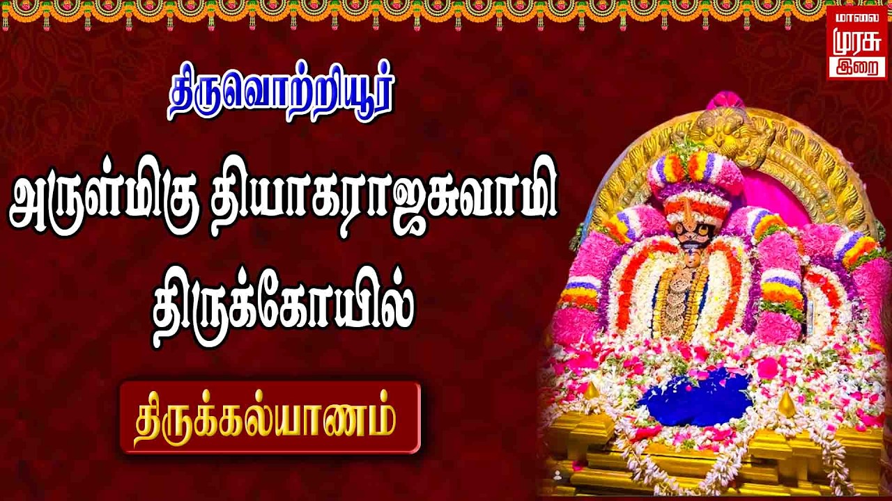 🔴Live - திருவொற்றியூர் தியாகராஜசுவாமி திருக்கோயில் சந்திரசேகரர் பெருமான் திருக்கல்யாணம்