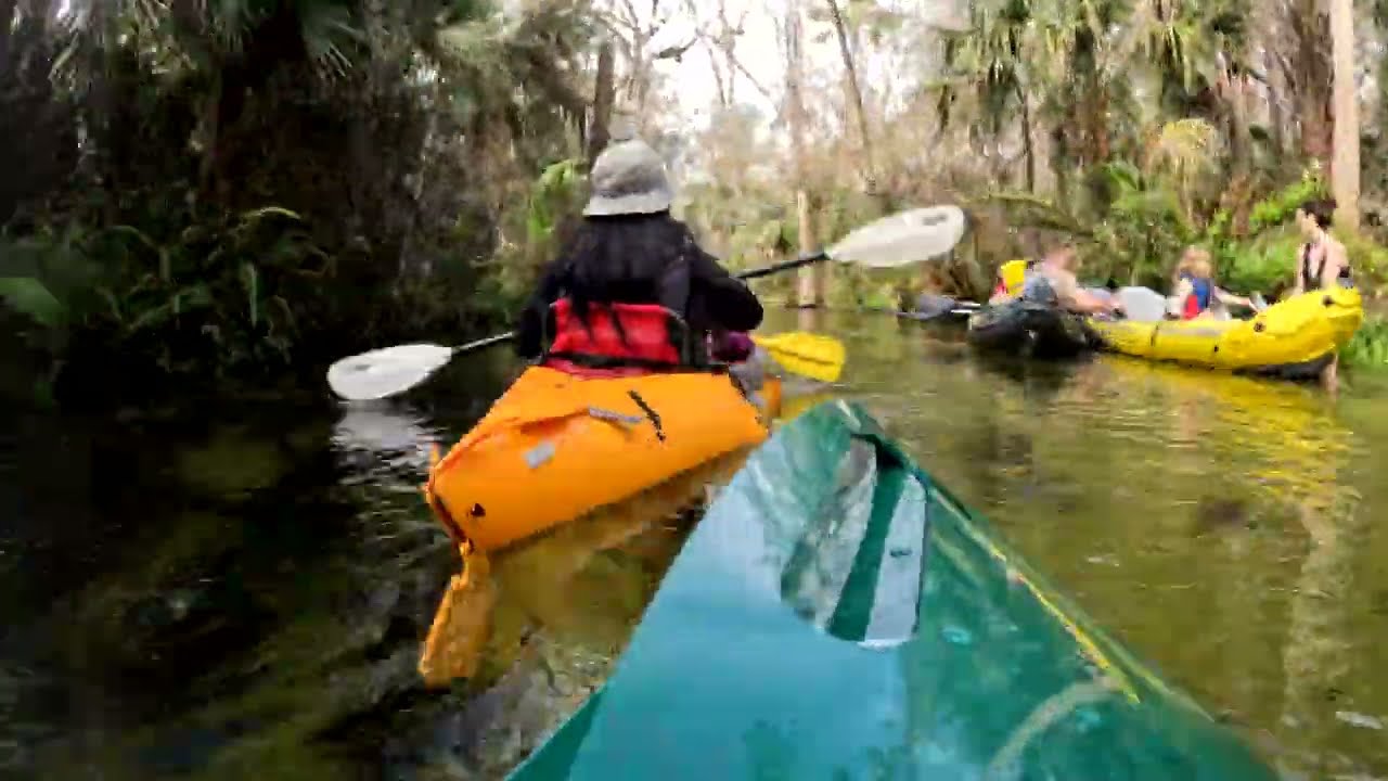 Kelly Park's Camp Joy - Rock Springs Run - Kayaking and Paddle Boarding - Kelly Park, Florida