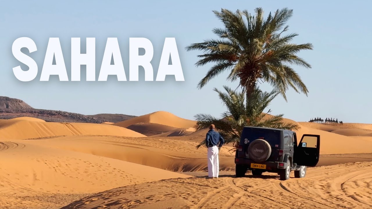 The Sahara Desert | We Made It!