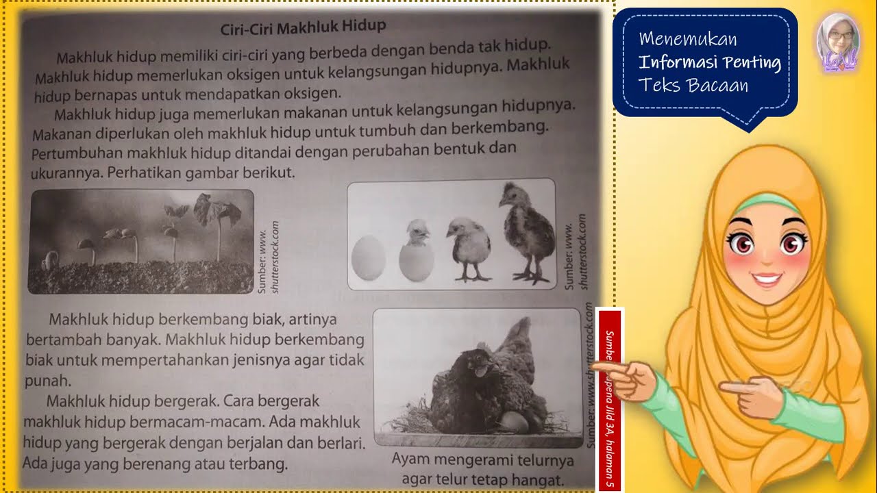 Menemukan Informasi Penting Teks Bacaan Kelas 3 SD