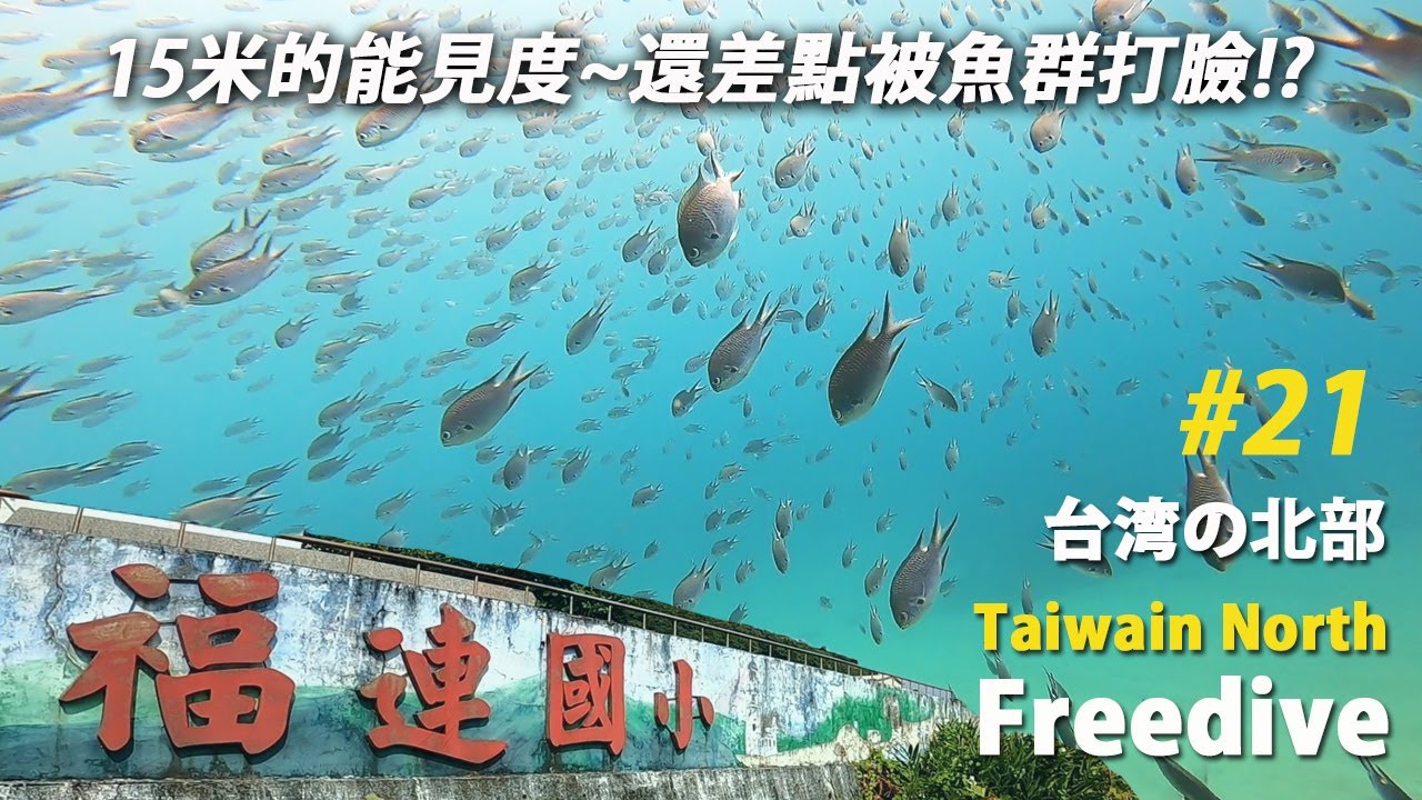 福連國小15米標清+魚群大爆發~我差點被魚群打臉了! | freediving フリーダイビング 浮潛聖地 | 海角樂園 | 傑哥帶你玩  | JERRYGOPLAY 自由潛水地圖 東北角潛點 4k
