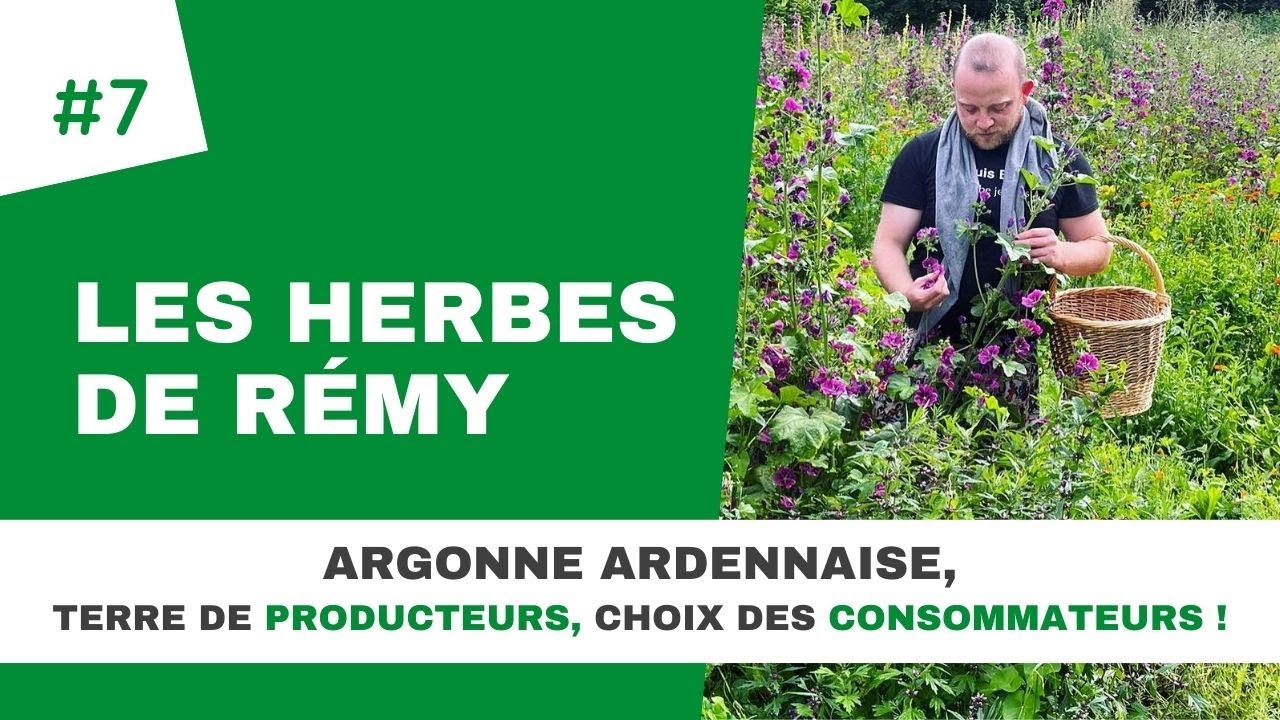 Portraits de producteurs #7 : Les Herbes de Rémy – Production de plantes aromatiques