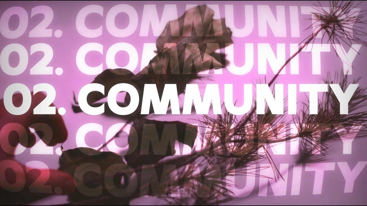 02, COMMUNITY (Genesis 2:4-25)