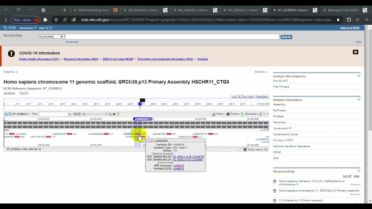 AS-PCR , identifying primer position around any SNP