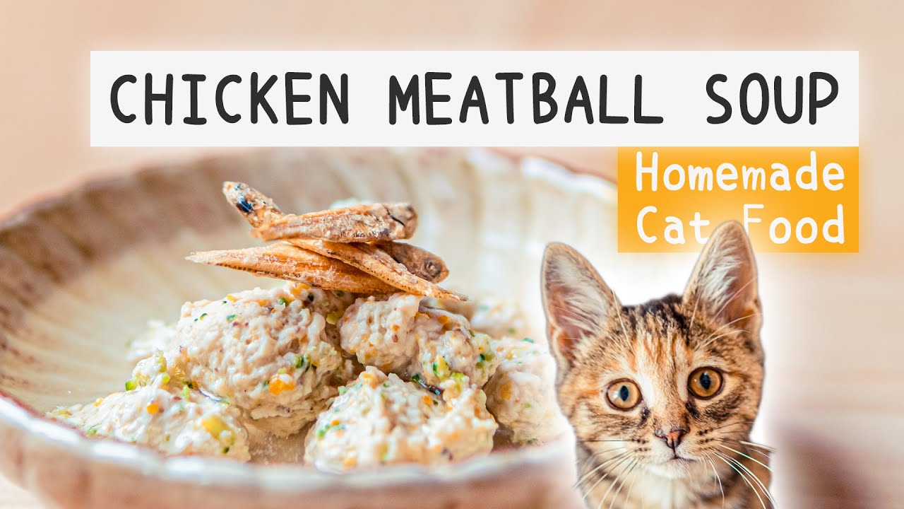 Homemade cat food! 😻 | 🍲 Chicken meatball soup | Cat eating ASMR