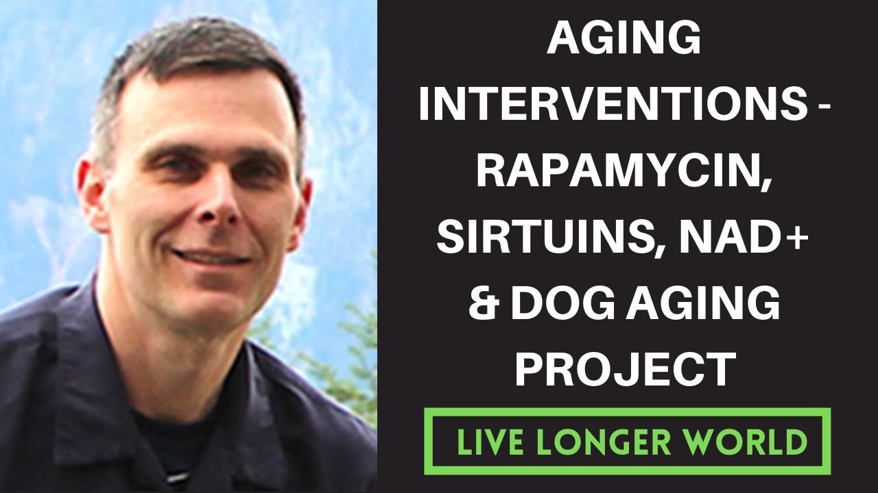 #5 - Matt Kaeberlein | Aging Interventions - Rapamycin, mTOR, CR, Sirtuins, NAD+ & Dog Aging Project