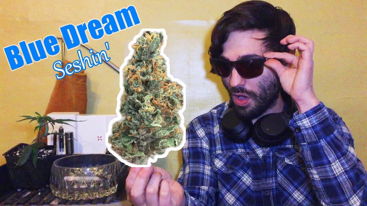 Red Eyed Widow: Blue Dream Strain Review (Seshin')