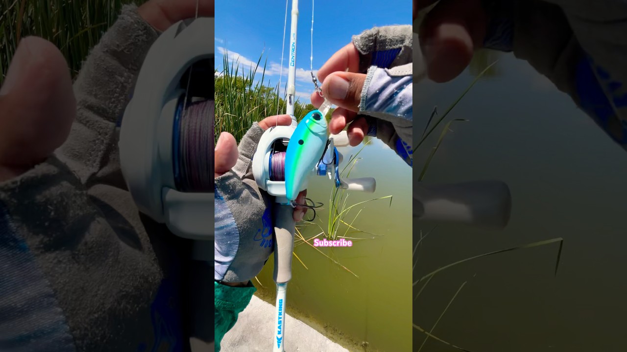 Tips setting a Baitcaster with Crankbait for Bass#fishing#fish#tips#shortvideo#shorts#short#viral