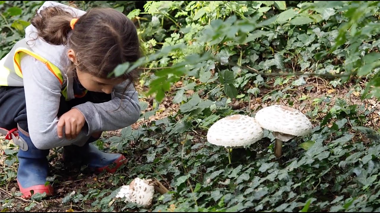 Munchkins Forest School and Preschool, Wivenhoe, Essex