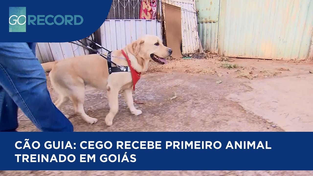 CÃO GUIA: CEGO RECEBE PRIMEIRO ANIMAL TREINADO EM GOIÁS