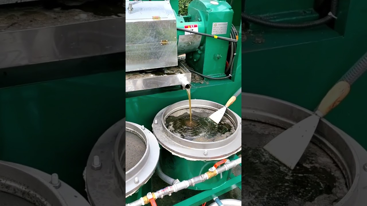 IYETO factory price Sunflower Seed Oil Press Machine Oil filter#oilpress #oilpress #oilpressmachine