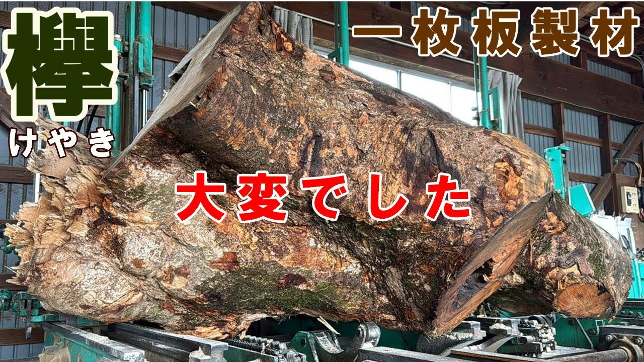 大穴の空いた凸凹ケヤキを製材したら大変すぎたけど驚きの木目が出てきた！【前編その１】