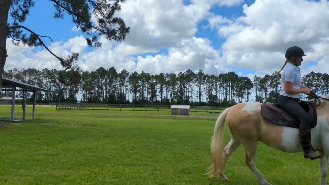 22 May 2024: a little trot, canter & lateral work with Poco(2)