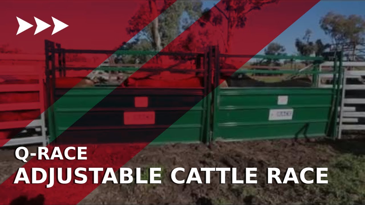 Q-Race - Adjustable Cattle Race