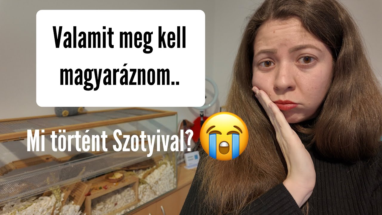 Valamit meg kell magyaráznom 🫣 Mi történt Szotyival?😭
